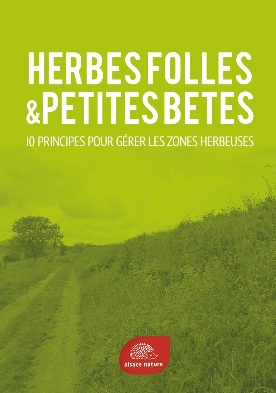 10 principes de gestion des zones herbeuses pour épargner la faune et la flore