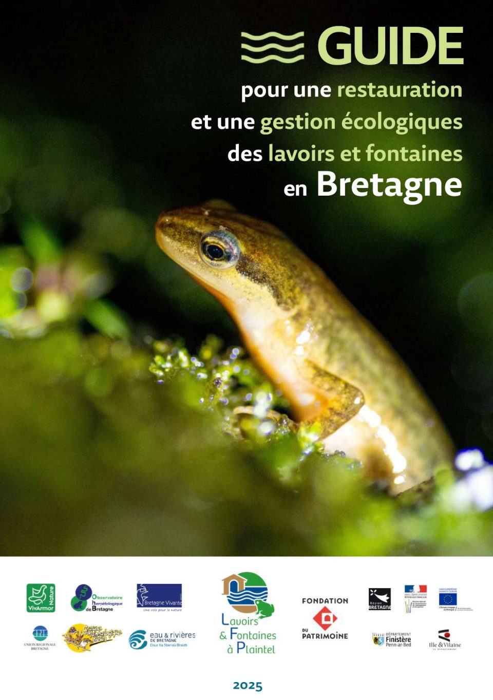 Guide pour une restauration et une gestion écologique des lavoirs et fontaines en Bretagne