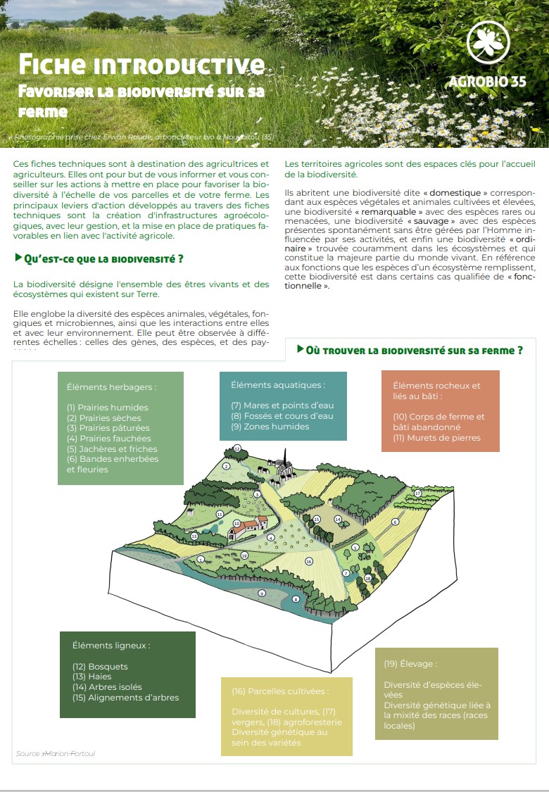 Favoriser la biodiversité sur sa ferme - Fiche introductive
