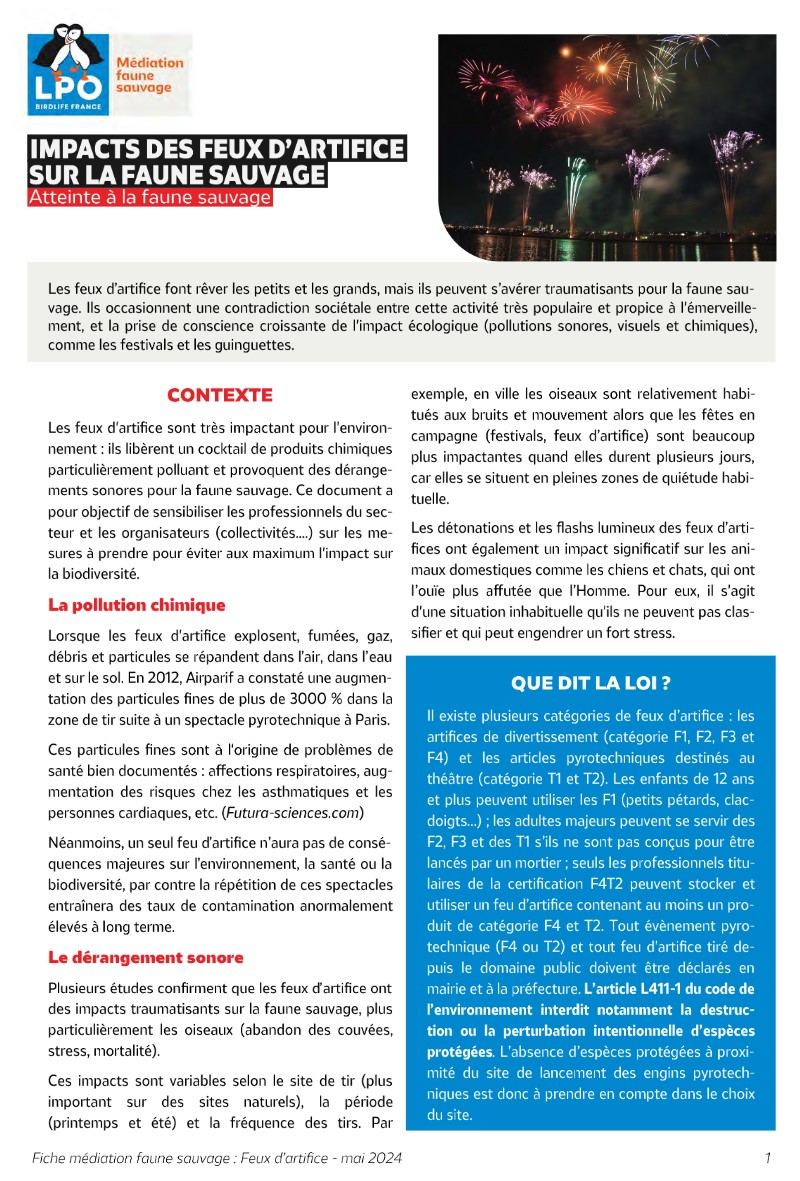 Impacts des feux d'artifice sur la faune sauvage