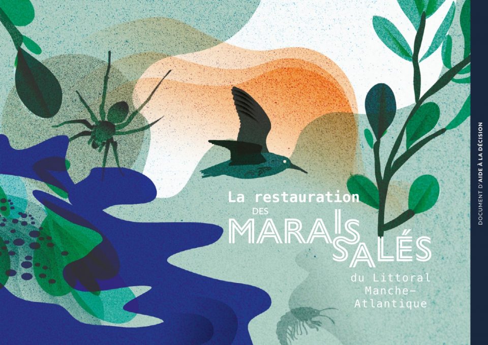 La restauration des marais salés du littoral Manche-Atlantique