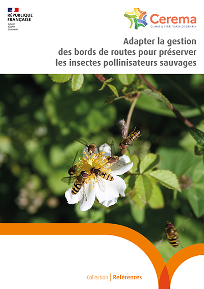 Adapter la gestion des bords de routes pour préserver les pollinisateurs sauvages