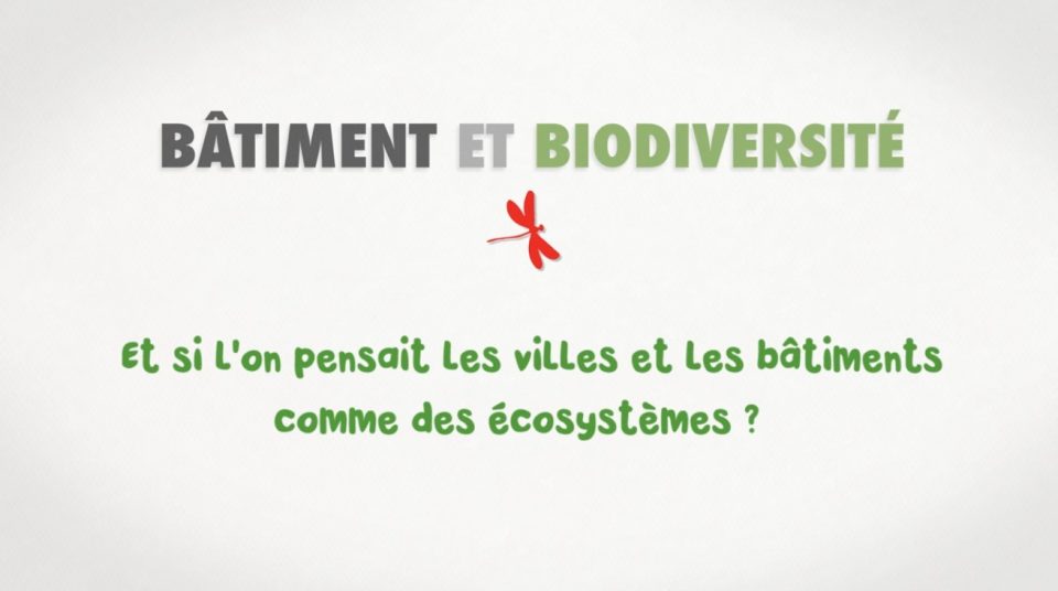 Bâtiment et biodiversité. Et si l'on pensait les villes et les bâtiments comme des écosystèmes.
