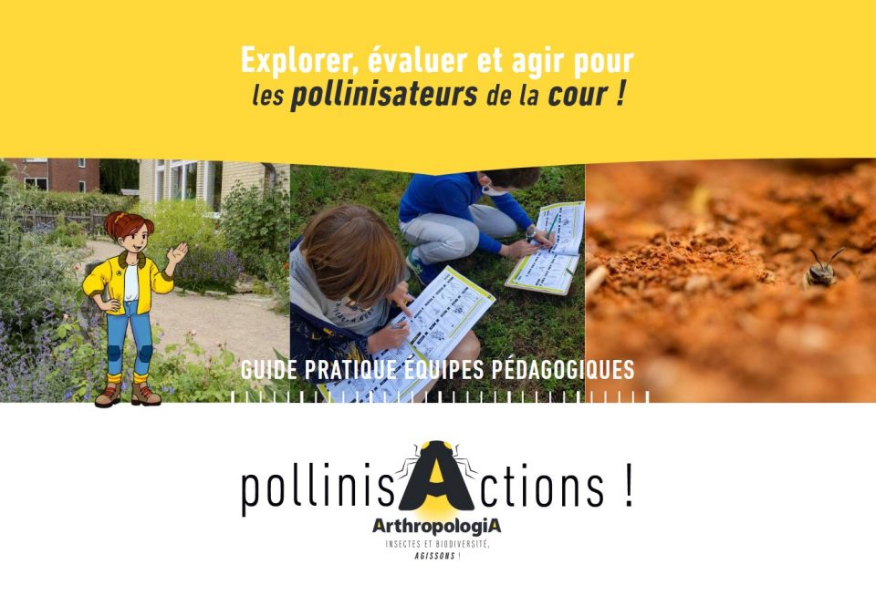  Guide pratique équipes pédagogiques. Explorer, évaluer et agir pour les pollinisateurs de la cour !