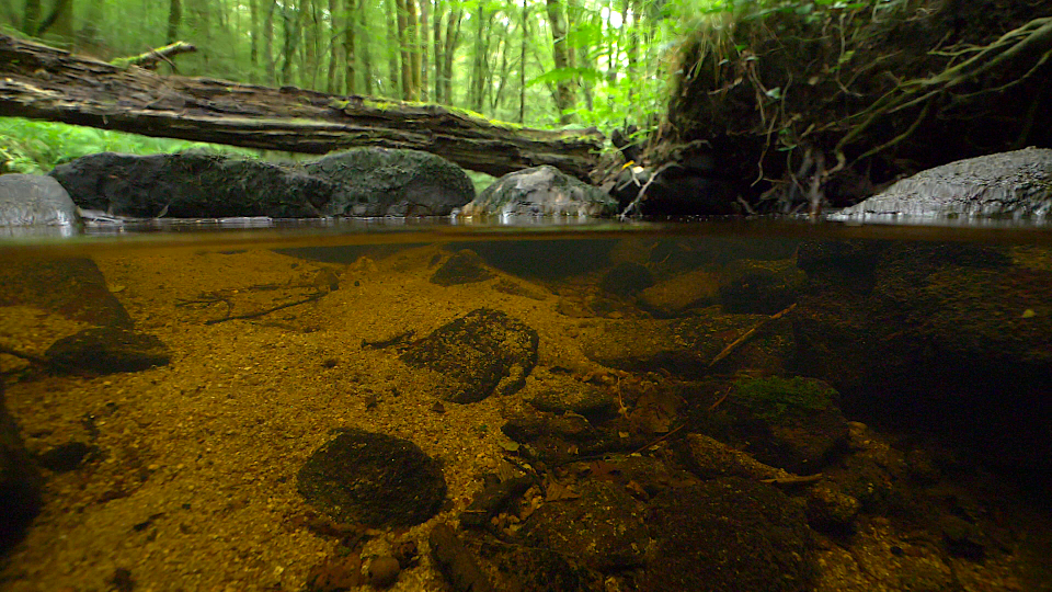 Documentaire "Le voyage d'une goutte d'eau : quand la terre nourrit la mer"