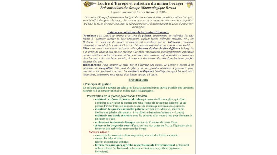 Loutre d'Europe et entretien du milieu bocager: préconisations du Groupe Mammalogique Breton