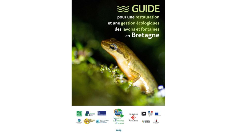 Guide pour une restauration et une gestion écologique des lavoirs et fontaines en Bretagne