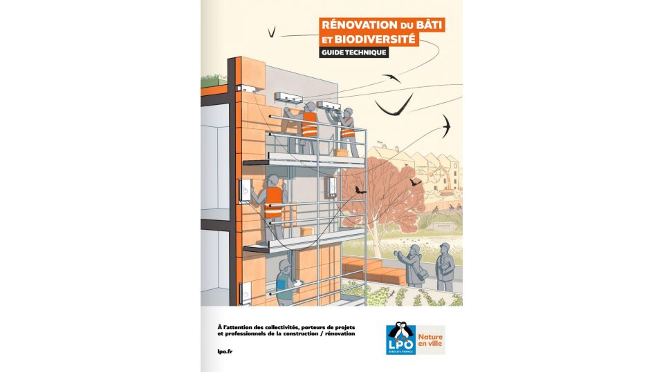 Rénovation du bâti et biodiversité 