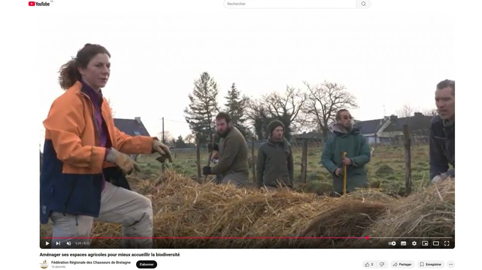 Aménager ses espaces agricoles pour mieux accueillir la biodiversité