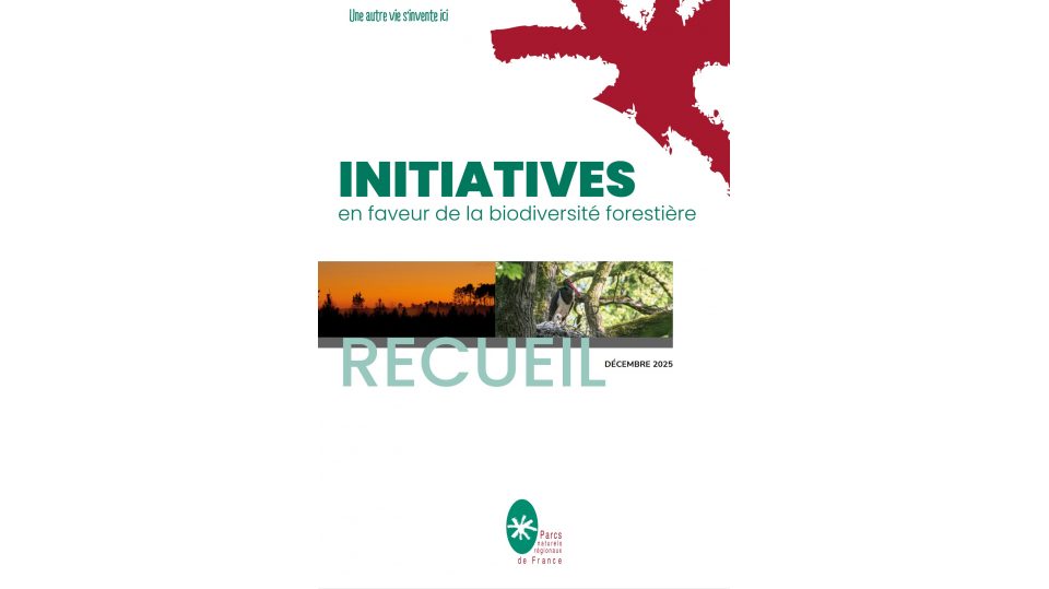 Recueil d'initiatives en faveur de la biodiversité forestière