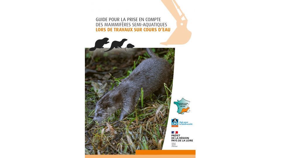 Guide pour la prise en compte des mammifères semi- aquatiques lors de travaux sur cours d’eau