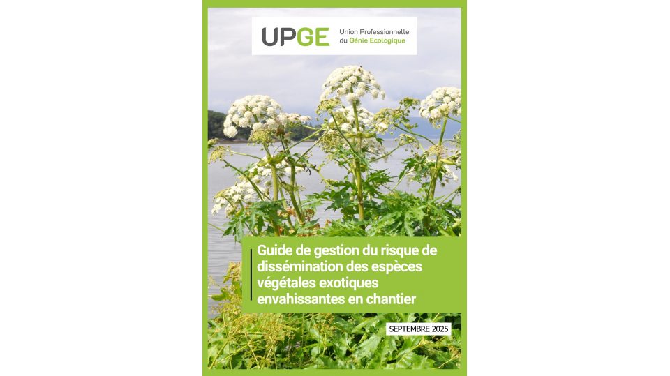 Guide de gestion du risque de dissémination des espèces végétales exotiques envahissantes en chantier