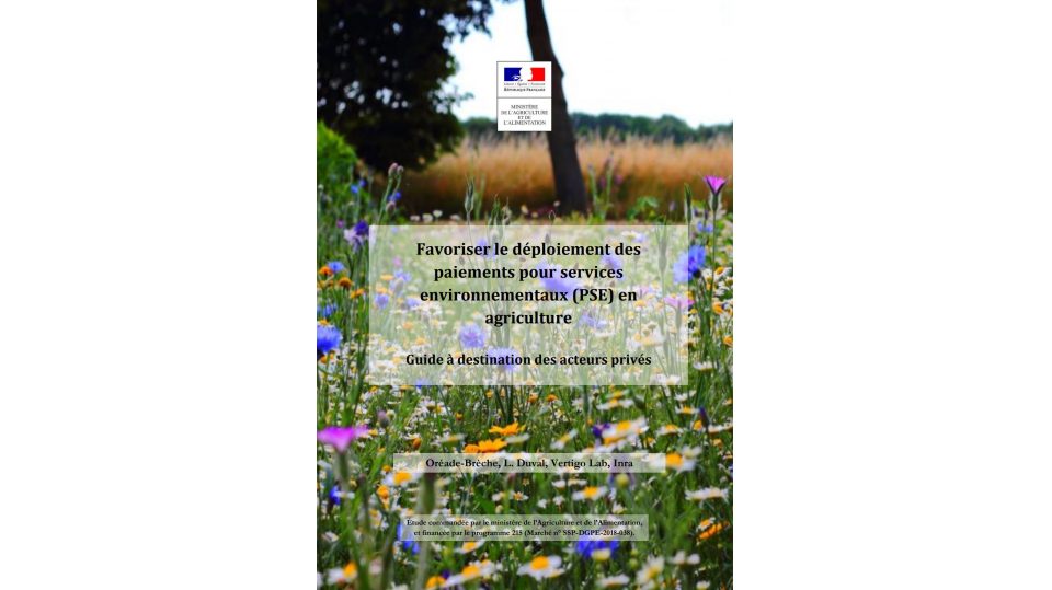 Favoriser le déploiement des PSE - Guide à destination des acteurs privés