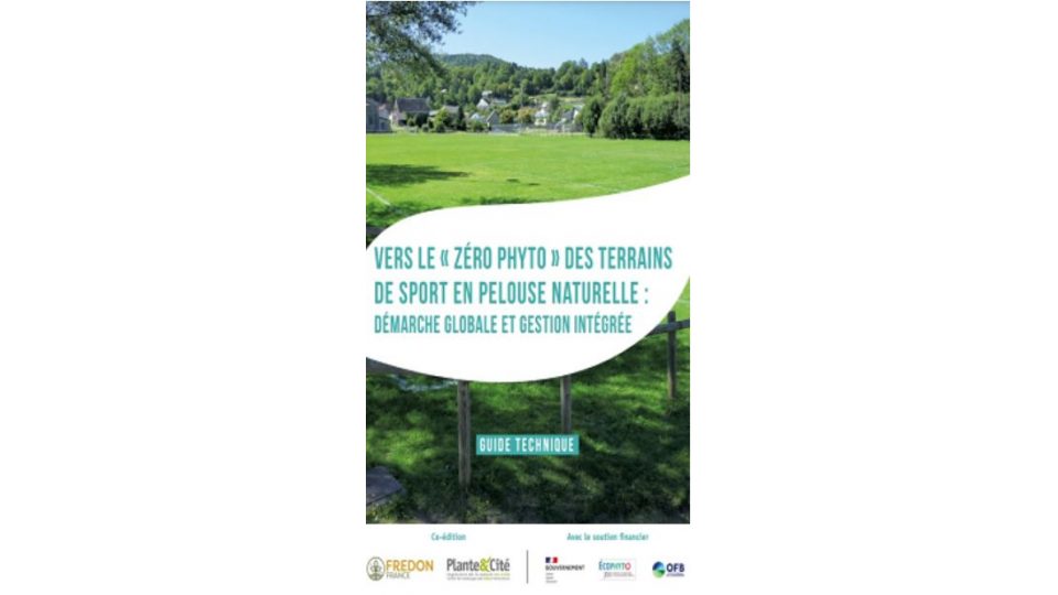 Vers le "zéro phyto" des terrains de sport en pelouse naturelle: démarche globale et gestion intégrale