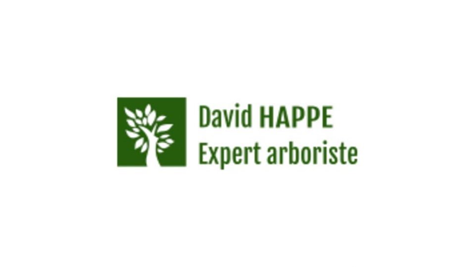 David HAPPE