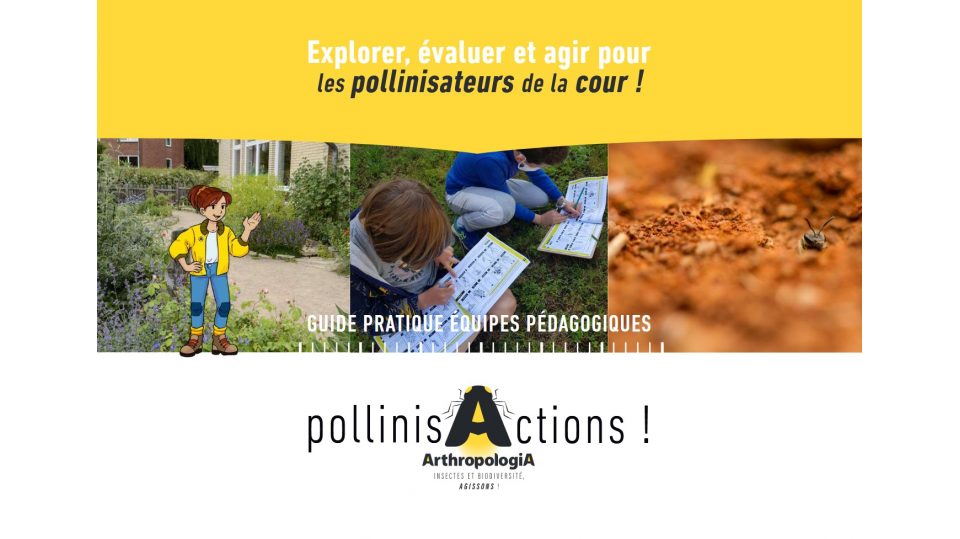  Guide pratique équipes pédagogiques. Explorer, évaluer et agir pour les pollinisateurs de la cour !