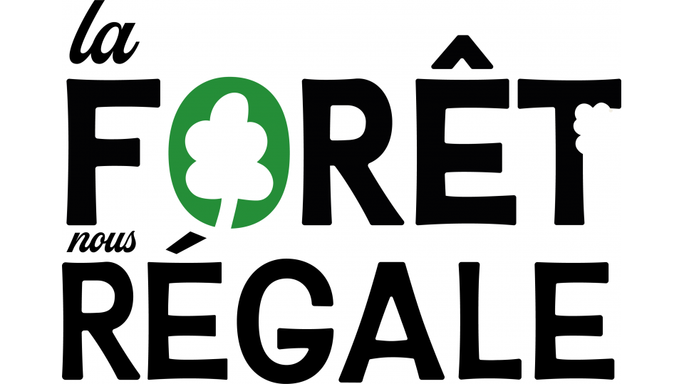 Mathieu PLOT